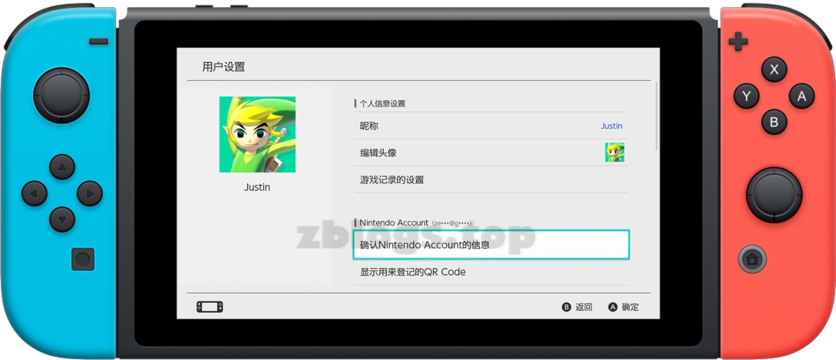 Nintendo Switch 用户设置界面