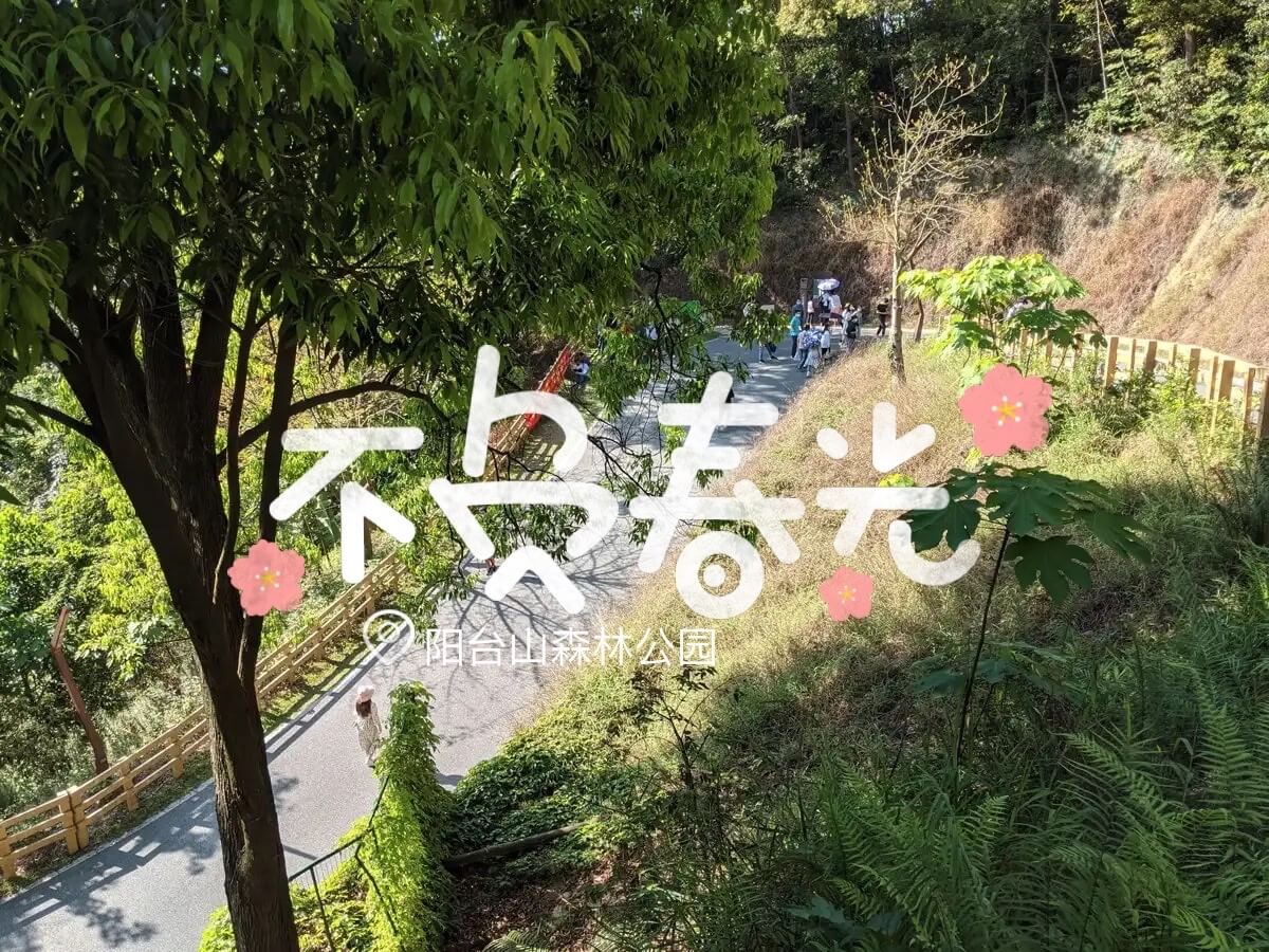 清明假期爬山小记 – 阳台山