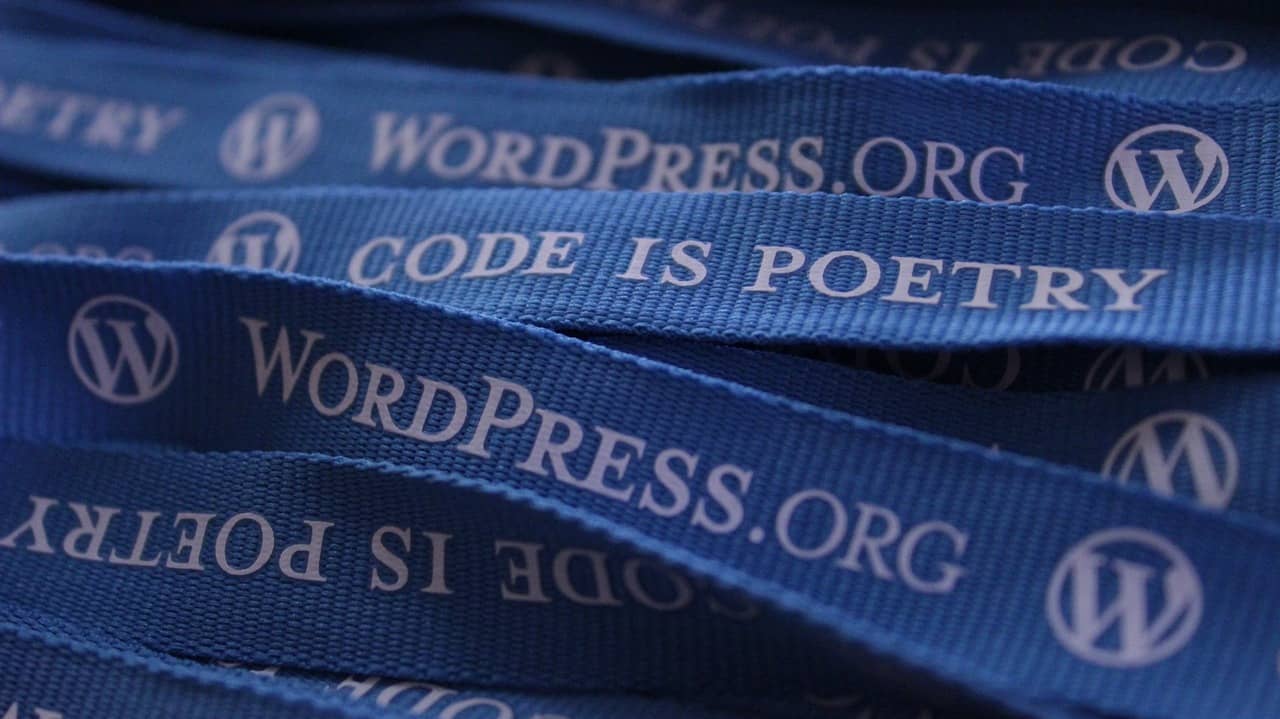 [小白向教程] WordPress 网站如何实现黑白/灰白页面效果